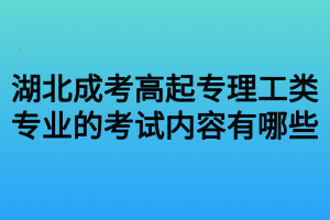 湖北成考高起专理工类专业的考试内容有哪些
