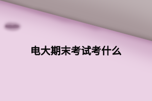 电大期末考试考什么