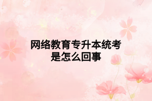网络教育专升本统考是怎么回事