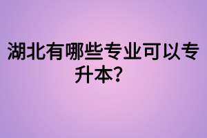 湖北有哪些专业可以专升本? 湖北有哪些专业可以专升本?