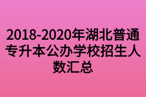 2018-2020年湖北普通专升本公办学校招生人数汇总 2018-2020年湖北普通专升本公办学校招生人数汇总