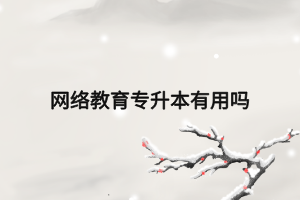 网络教育专升本有用吗