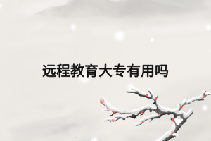 远程教育大专有用吗