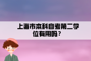 上海市本科自考第二学位有用吗？