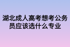 湖北成人高考想考公务员应该选什么专业 湖北成人高考想考公务员应该选什么专业