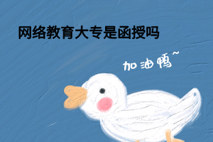 网络教育大专是函授吗