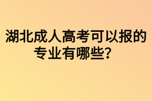 湖北成人高考可以报的专业有哪些？