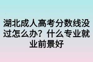湖北成人高考分数线没过怎么办?什么专业就业前景好 湖北成人高考分数线没过怎么办?什么专业就业前景好