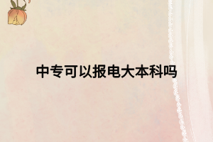 中专可以报电大本科吗