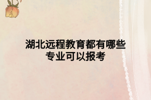 湖北远程教育都有哪些专业可以报考 湖北远程教育都有哪些专业可以报考