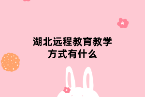 湖北远程教育教学方式有什么