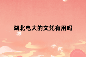 湖北电大的文凭有用吗
