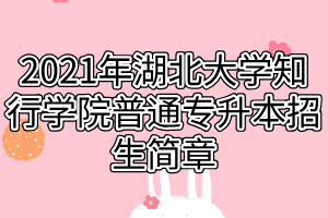 2021年湖北大学知行学院普通专升本招生简章