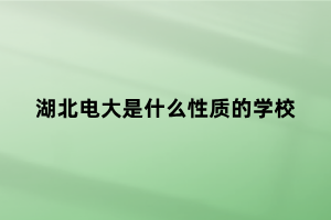 湖北电大是什么性质的学校