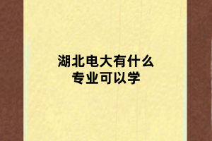 湖北电大有什么专业可以学