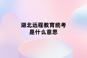 湖北远程教育统考是什么意思