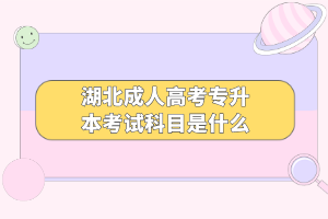 湖北成人高考专升本考试科目是什么