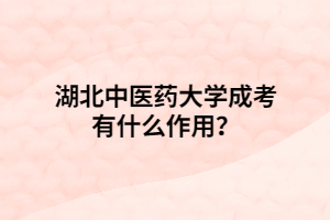 湖北中医药大学成考有什么作用？