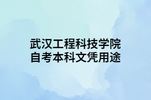 武汉工程科技学院自考本科文凭用途