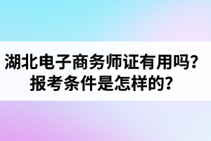 湖北电子商务师证书有用吗？电子商务师报考条件是怎样的？