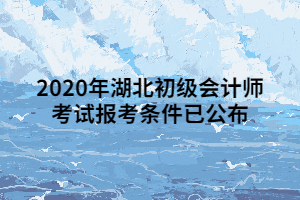2020年湖北初级会计师考试报考条件已公布