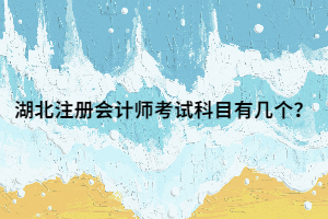 湖北注册会计师考试科目有几个？