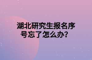 湖北研究生报名序号忘了怎么办？