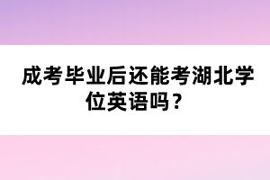 成考毕业后还能考湖北学位英语吗？