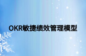 OKR敏捷绩效管理模型