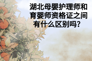 湖北母婴护理师和育婴师资格证之间有什么区别吗？