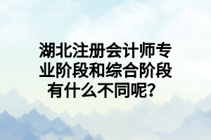 湖北注册会计师专业阶段和综合阶段有什么不同呢？