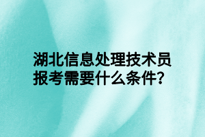湖北信息处理技术员报考需要什么条件？