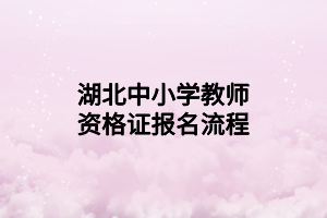 湖北中小学教师资格证报名流程
