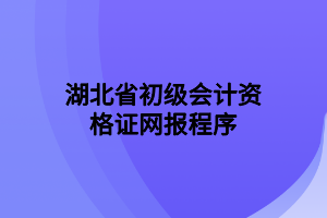 湖北省初级会计资格证网报程序