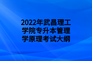 2022年武昌理工学院专升本管理学原理考试大纲
