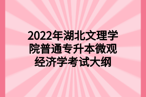 2022年湖北文理学院普通专升本微观经济学考试大纲