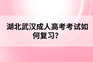 湖北武汉成人高考考试如何复习？