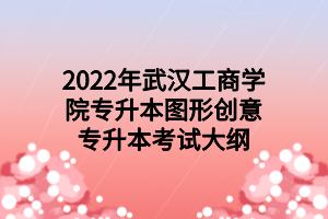 2022年武汉工商学院专升本图形创意专升本考试大纲