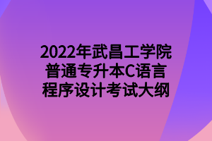 2022年武昌工学院普通专升本C语言程序设计考试大纲