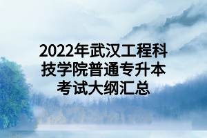 2022年武汉工程科技学院普通专升本考试大纲汇总 (1)