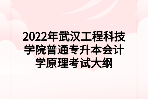 2022年武汉工程科技学院普通专升本会计学原理考试大纲