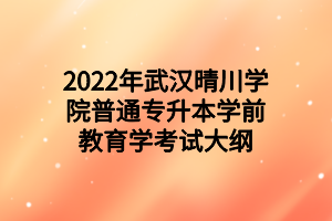 2022年武汉晴川学院普通专升本学前教育学考试大纲