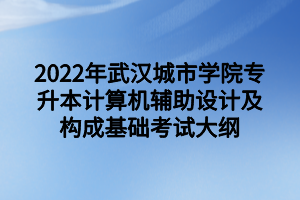 2022年武汉城市学院专升本计算机辅助设计及构成基础考试大纲