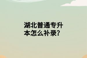 湖北普通专升本怎么补录？