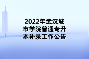 2022年武汉城市学院普通专升本补录工作公告