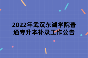 2022年武汉东湖学院普通专升本补录工作公告