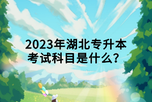 2023年湖北专升本考试科目是什么？